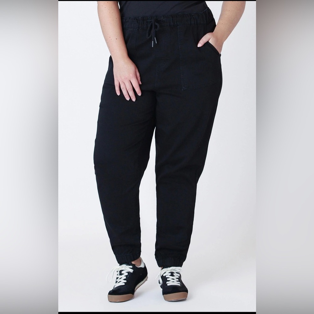 DEX Head Honcho Lounge Jogger Workout Gym Stretch in Black Women's Plus Size 0X